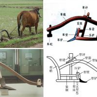 《結(jié)構(gòu)與設(shè)計(jì)》設(shè)計(jì)任務(wù)專(zhuān)題